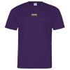 Horsham Hawks Tee (Adult) Thumbnail