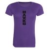Horsham Hawks T-Shirt (Ladies) Thumbnail