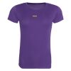 Horsham Hawks T-Shirt (Ladies) Thumbnail