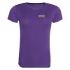 Horsham Hawks T-Shirt (Ladies) Thumbnail