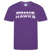 Horsham Hawks T-Shirt (Kids) Thumbnail